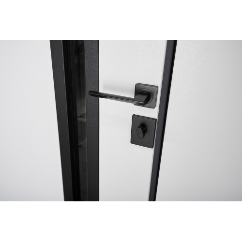 Вхідні двері модель Nordi Glass комплектація Defender 1200 ABWEHR (506)