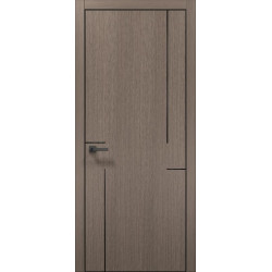 Дверне полотно PL-55